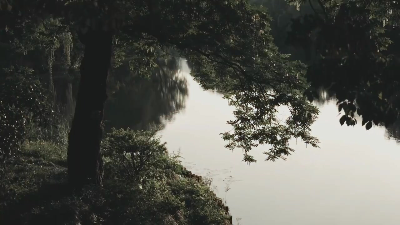 浙江主场领先憾平深圳，争胜势头遭遏制