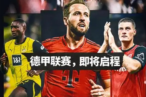 25/26德甲实力分层：拜仁独霸，多特勒沃挑战存疑