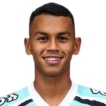 费尔南多·恩里克